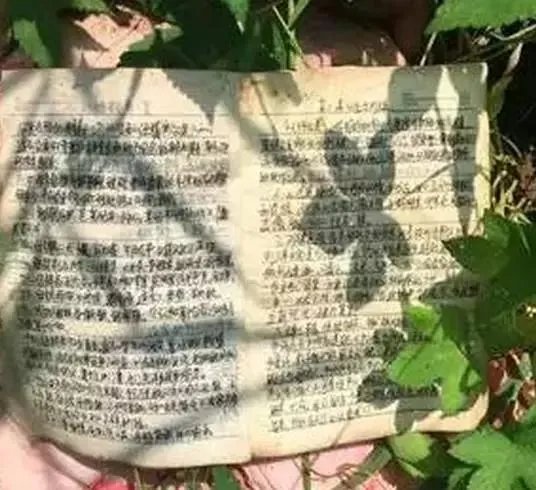 大学生李文星赴天津求职蹊跷死亡，应怎样避免这种情况发生？