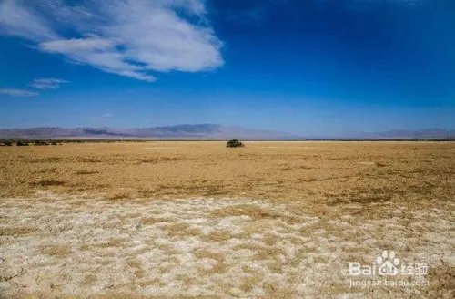 盐碱地改良方法