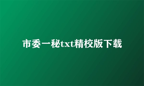 市委一秘txt精校版下载