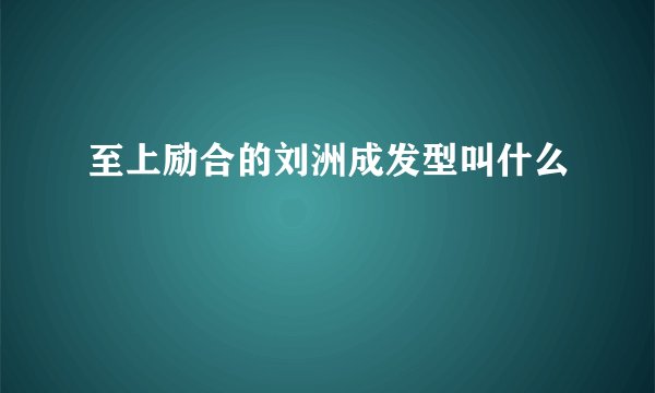 至上励合的刘洲成发型叫什么