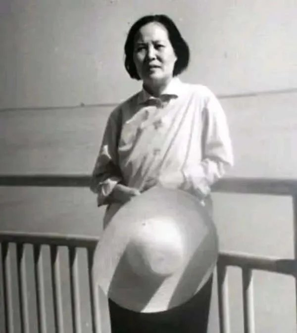 傅冬菊是怎样为北平和平解放做贡献的呢?