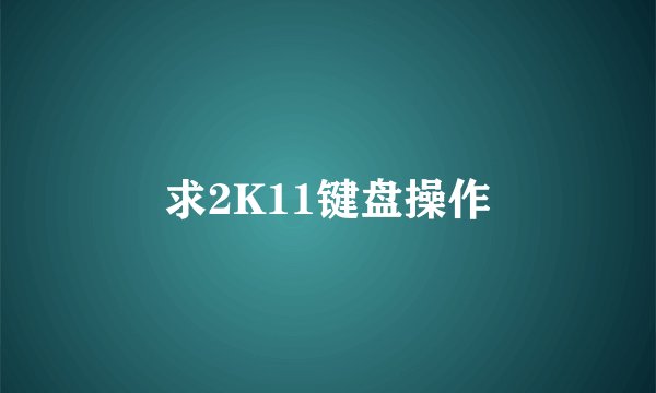 求2K11键盘操作