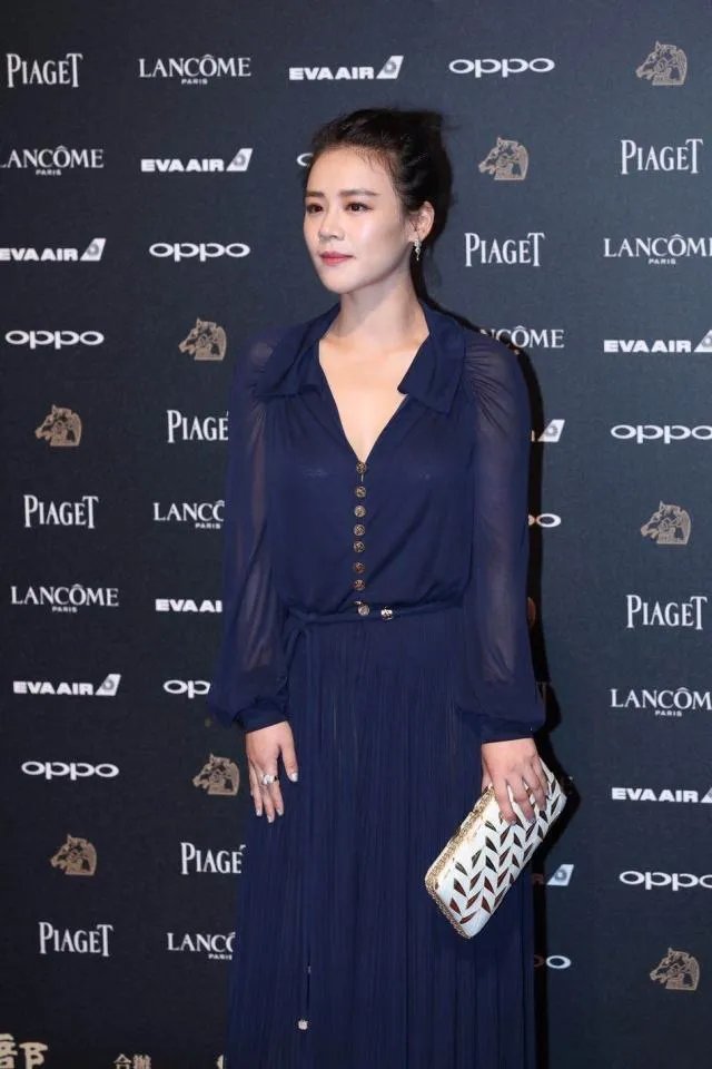 2017金马奖颁奖典礼上，谁的礼服更耀眼？