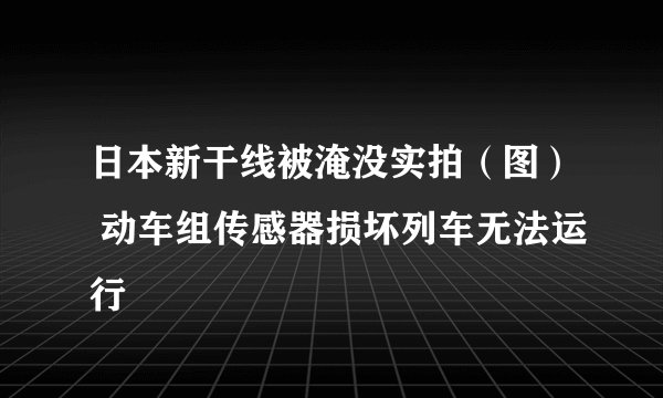 日本新干线被淹没实拍（图） 动车组传感器损坏列车无法运行