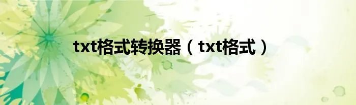 txt格式转换器（txt格式）