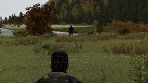 《武装突袭2：DayZ》新手图文指南