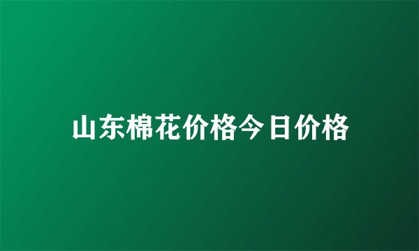 山东棉花价格今日价格