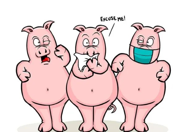 猪流感病毒能传染给狗的原因是什么?