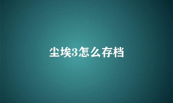 尘埃3怎么存档