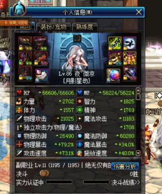 DNF刺客二觉后武器及装备的选择推荐