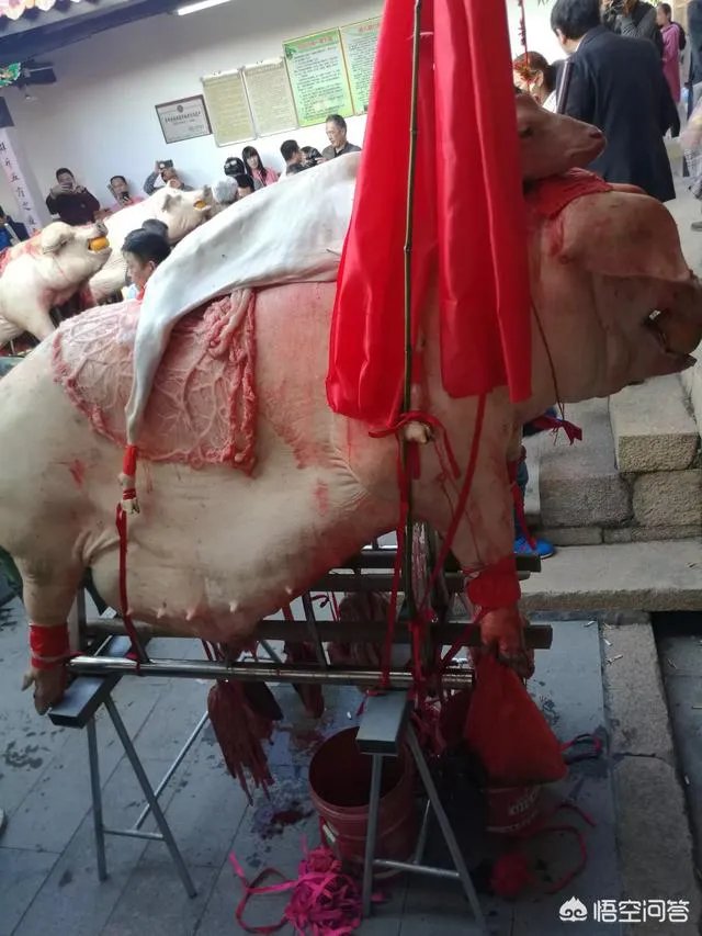 漳州古山重好玩吗？