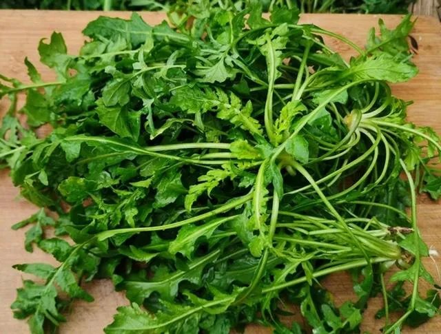 蔬菜饺子馅的调制方法？