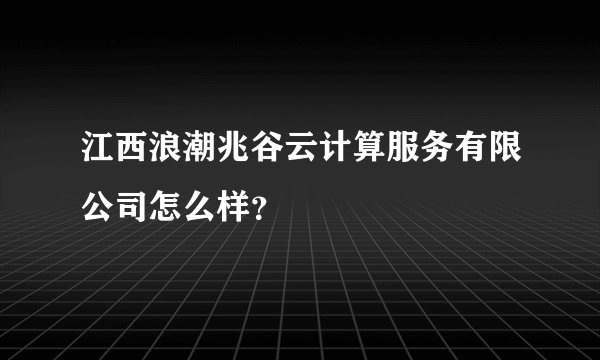江西浪潮兆谷云计算服务有限公司怎么样？