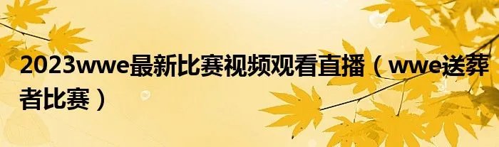 2023wwe最新比赛视频观看直播（wwe送葬者比赛）