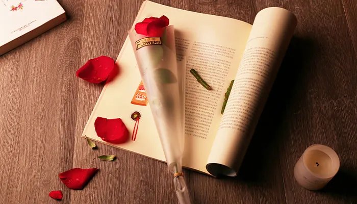 不负韶华是什么意思​