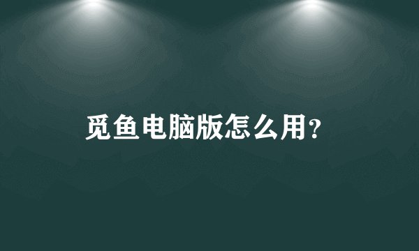 觅鱼电脑版怎么用？