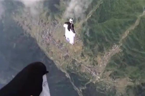 张家界女翼装飞行员最后一跳画面 详情画面及死亡原因曝光