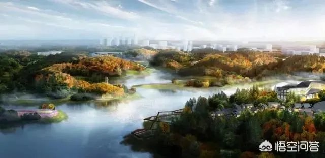 成都龙泉大面买二手房买哪个小区好