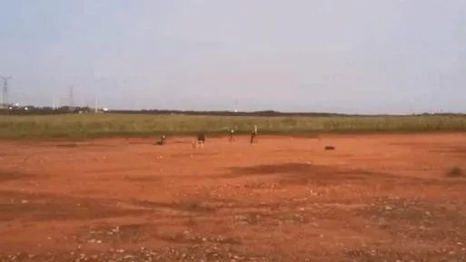 大学生自制火箭的目的是什么呢？