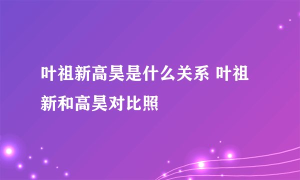 叶祖新高昊是什么关系 叶祖新和高昊对比照