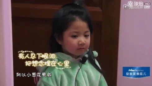 《放开我的北鼻》什么时候开播?