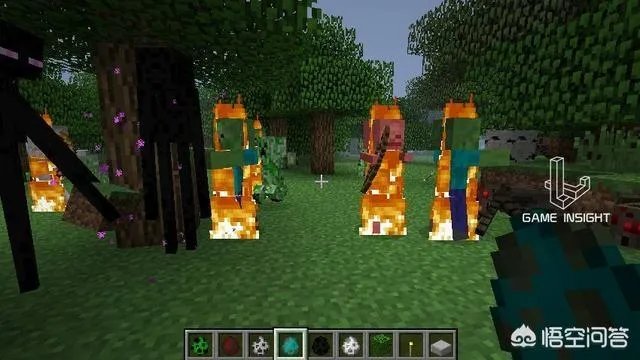 我的世界村民罕见现象