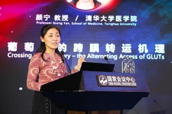 颜宁教授为何一直单身？