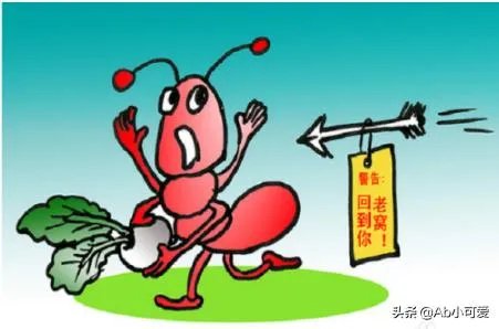 家中有蚂蚁窝怎么办？