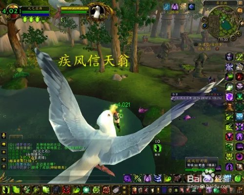 永恒岛疾风信天翁在哪里