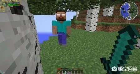 我的世界村民罕见现象