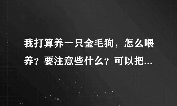 我打算养一只金毛狗，怎么喂养？要注意些什么？可以把它放到车库里吗？