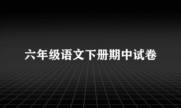 六年级语文下册期中试卷