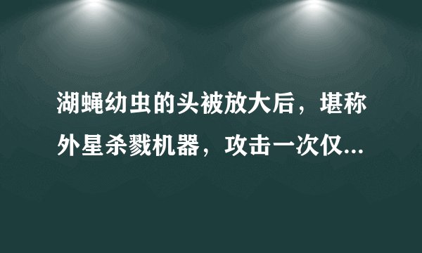 湖蝇幼虫的头被放大后，堪称外星杀戮机器，攻击一次仅需14毫秒