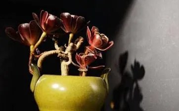 八字五行测算在线查询