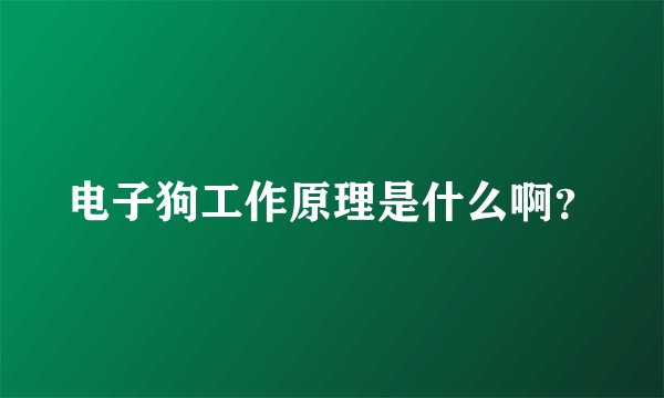 电子狗工作原理是什么啊？