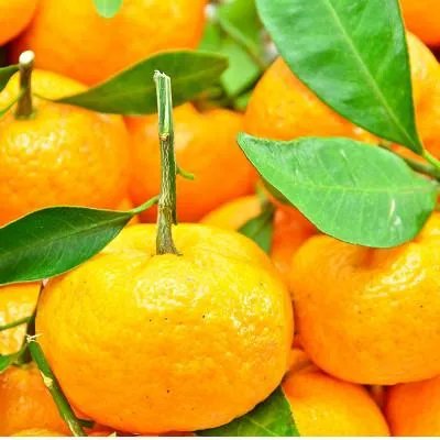 前列腺炎食疗吃什么