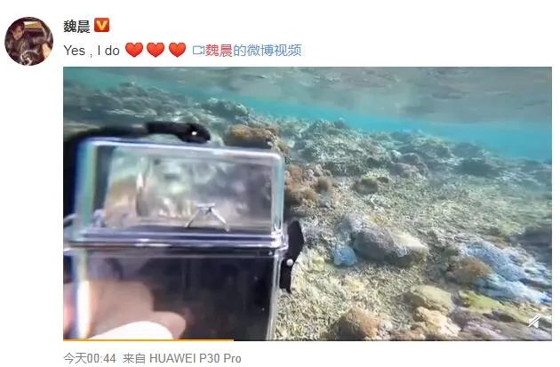 魏晨成功求婚是怎么回事 魏晨女友是谁