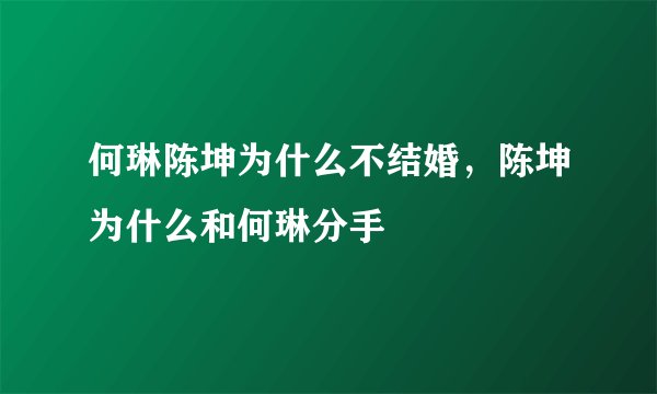 何琳陈坤为什么不结婚,陈坤为什么和何琳分手