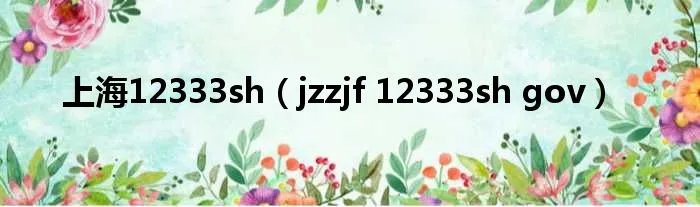 上海12333sh(jzzjf 12333sh gov)
