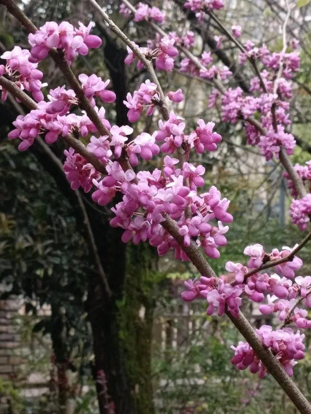 有什么事情是退休了才知道的?