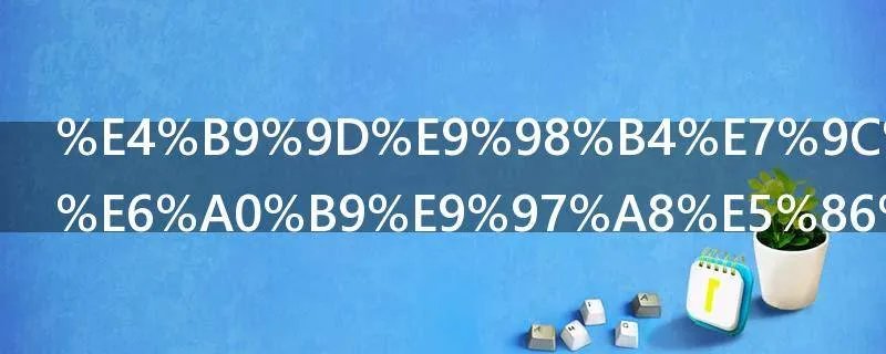 九阴真经无根门内功怎么样