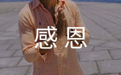 感恩让我们飞得更高作文