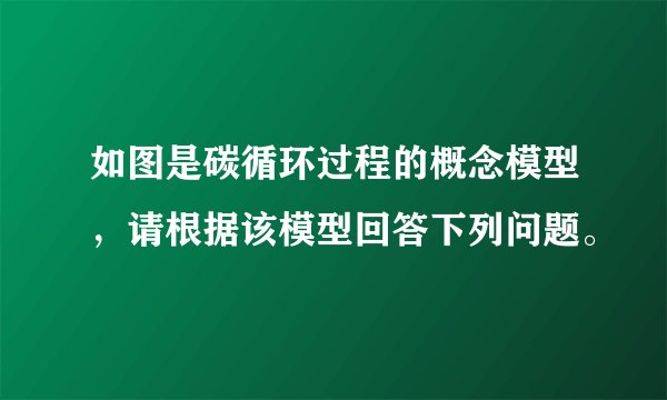 如图是碳循环过程的概念模型，请根据该模型回答下列问题。