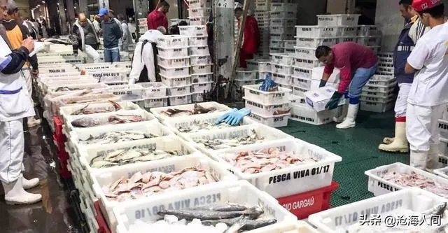 今年疫情会封城吗?