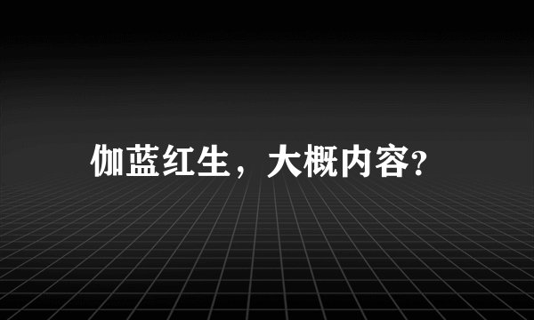伽蓝红生，大概内容？