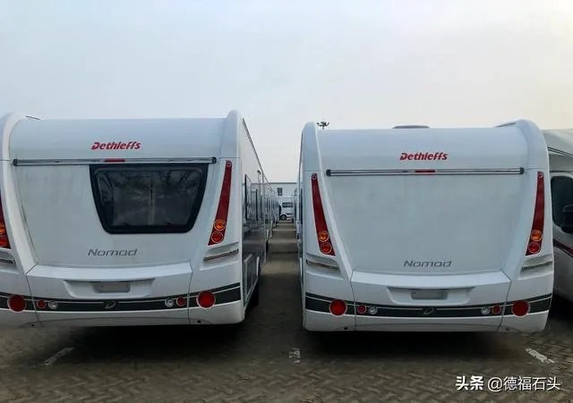 房车旅行可以带猫吗？为什么？