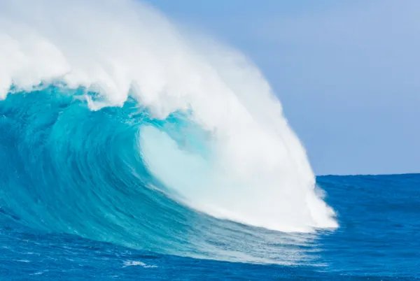 漳州11人被卷入海水身亡，死者的落水原因是什么？