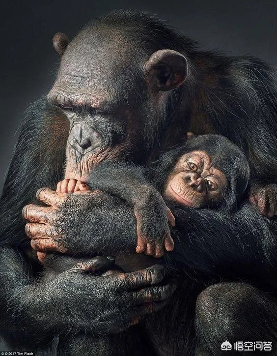 “国酒茅台”商标已停用，以后茅台不再称为国酒，二千多一瓶你还喝么？