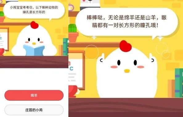 以下哪种动物的瞳孔是长方形的 蚂蚁庄园答题攻略