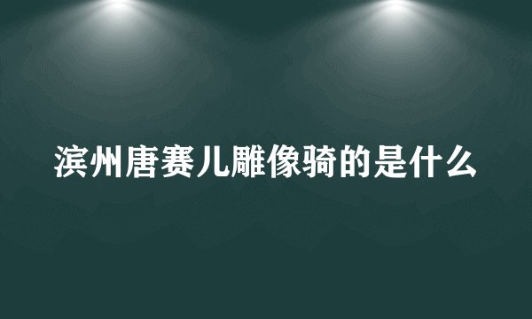 滨州唐赛儿雕像骑的是什么